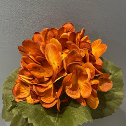 Ramo ortensia flemish autun spray orange  h 50