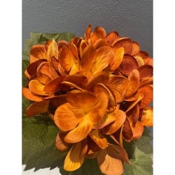 Ramo ortensia flemish autun spray orange  h 50