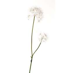 Ramo soffione x 2 white