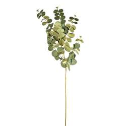 Ramo eucalipto h 95 green