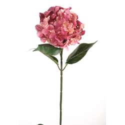 Ramo ortensia dark pink