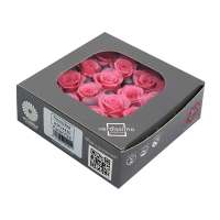 Cf 16pz rose mini stabilizzate rosa ..