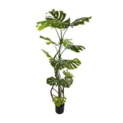 Pianta philodendro real touch h 170 verde
