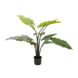 Pianta alocasia  real touch h 120 verde