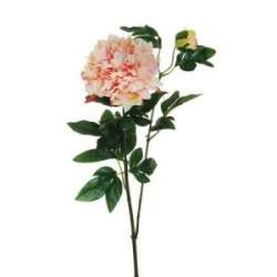 Ramo peonia spry x2 cm 69  fucsia cream