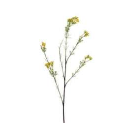 Ramo wax flower plastic giallo