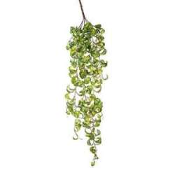 Cadente curly h 85 x 5 green