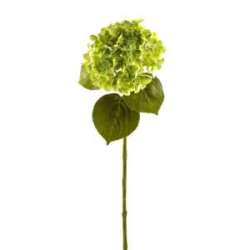 Ramo ortensia real touch dm 12 verde