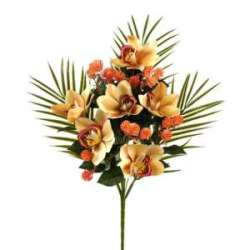 Frontale cymbidium  pesca