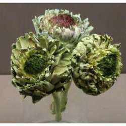 Cf 2 carciofi dm 12-15 essiccati naturali lime