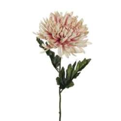 Ramo crisantemo dry look h 70 light pink
