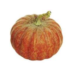 Zucca cm 17 h 15.5 orange tonda