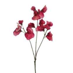Ramo sweet pea h 67 real touch dark fucsia