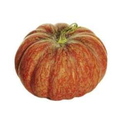 Zucca cm 21 h 17.5 orange tonda