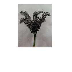 Bundle heremorus x6 nero