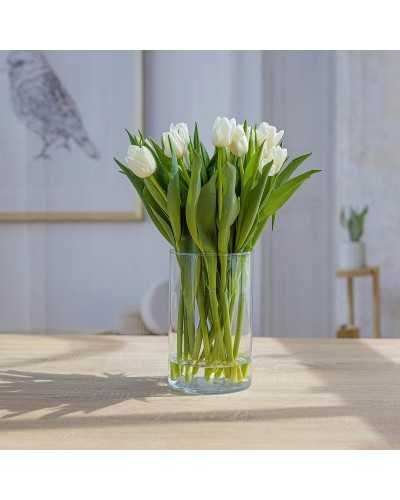 Vetro Basic | Vaso Cilindro in Vetro Trasparente – Diametro 6 cm, Altezza 15 cm | 8631524719264