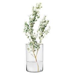 Vaso cilindro di vetro dm 8 h25 trasparente