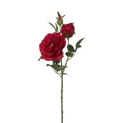 TRALCIO ROSA ROSSA H.73 CM in San Valentino