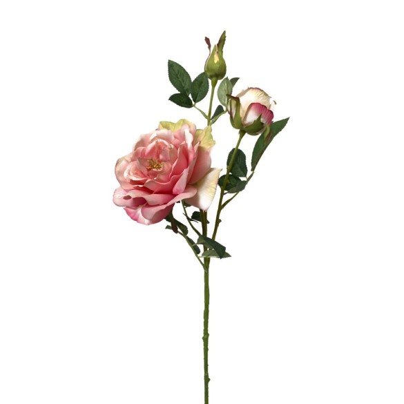 TRALCIO ROSA PESCA H.73 CM in Fiori e piante