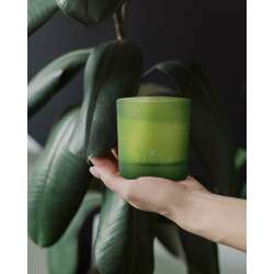 Candela 200gr prof. aloe 35 ore circa