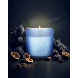 Candela 200gr prof. fichi 35 ore circa