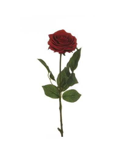 Ramo rosa Ecuador rosso alta 65 cm, bocciolo semiaperto e petali morbidi