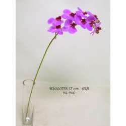 Ramo phaleno spray cm 63  fucsia