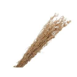 Alpha grass cm 90100 gr 100 natural