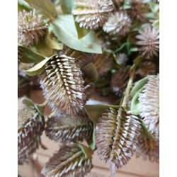 Ramo globosa h 70 spray x 7 lavander