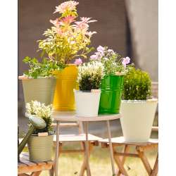Vaso in latta con manico in legno dm 29 h 29 peach