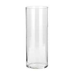 Vaso cilindro di vetro dm 8 h20 trasparente
