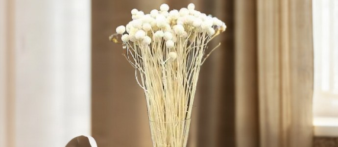 Decorazioni Autunno: Idee Calde per la Casa