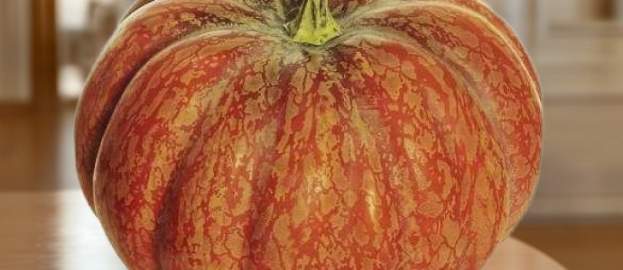 Decorazioni Halloween per la casa: idee d'atmosfera