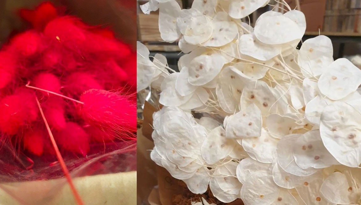 Idee per decorare la tua casa con fiori secchi stabilizzati Idee per decorare la tua casa con fiori secchi stabilizzati